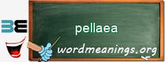 WordMeaning blackboard for pellaea